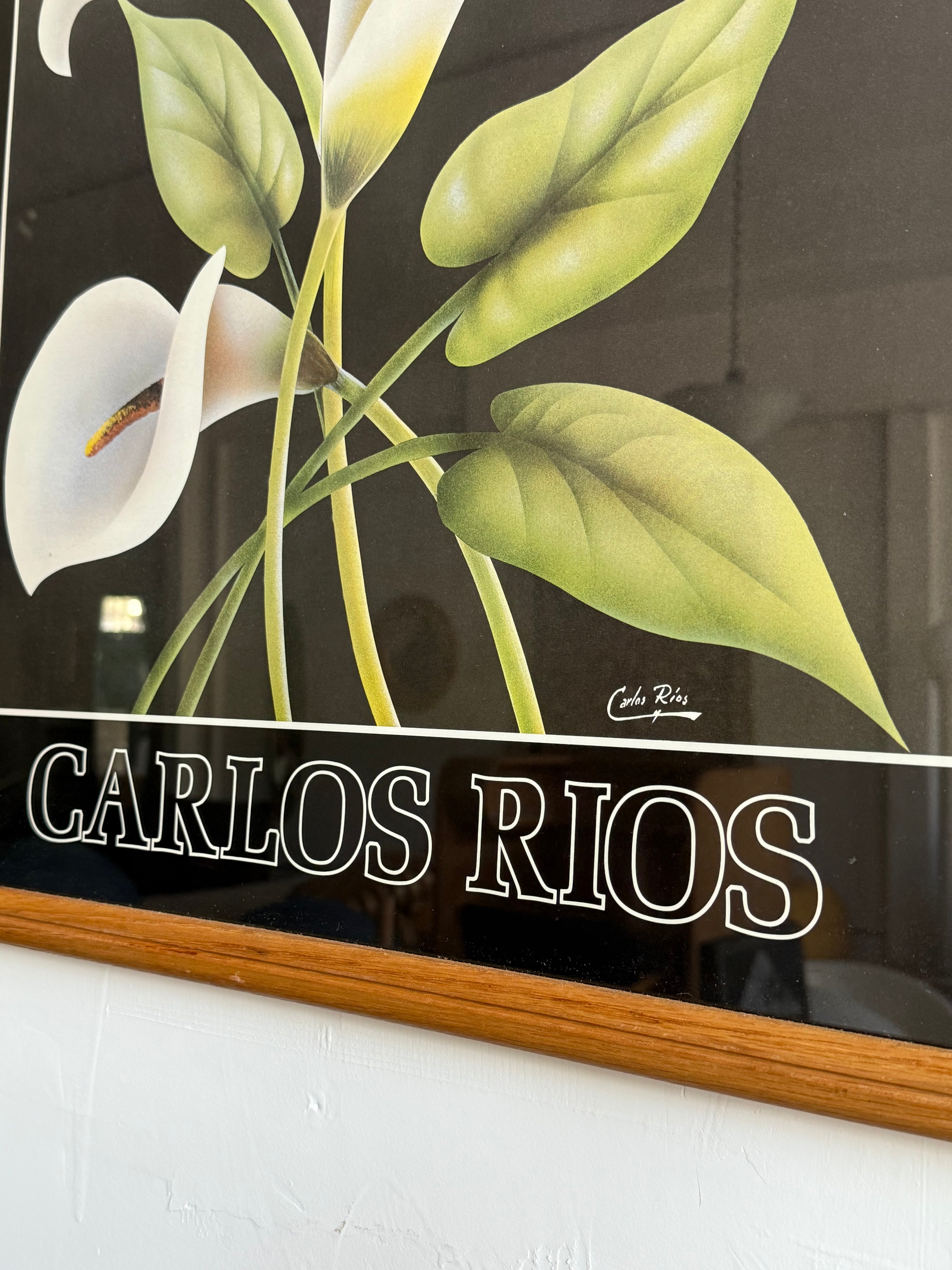 Vintage Carlos Rios Spring Exhibition Poster
