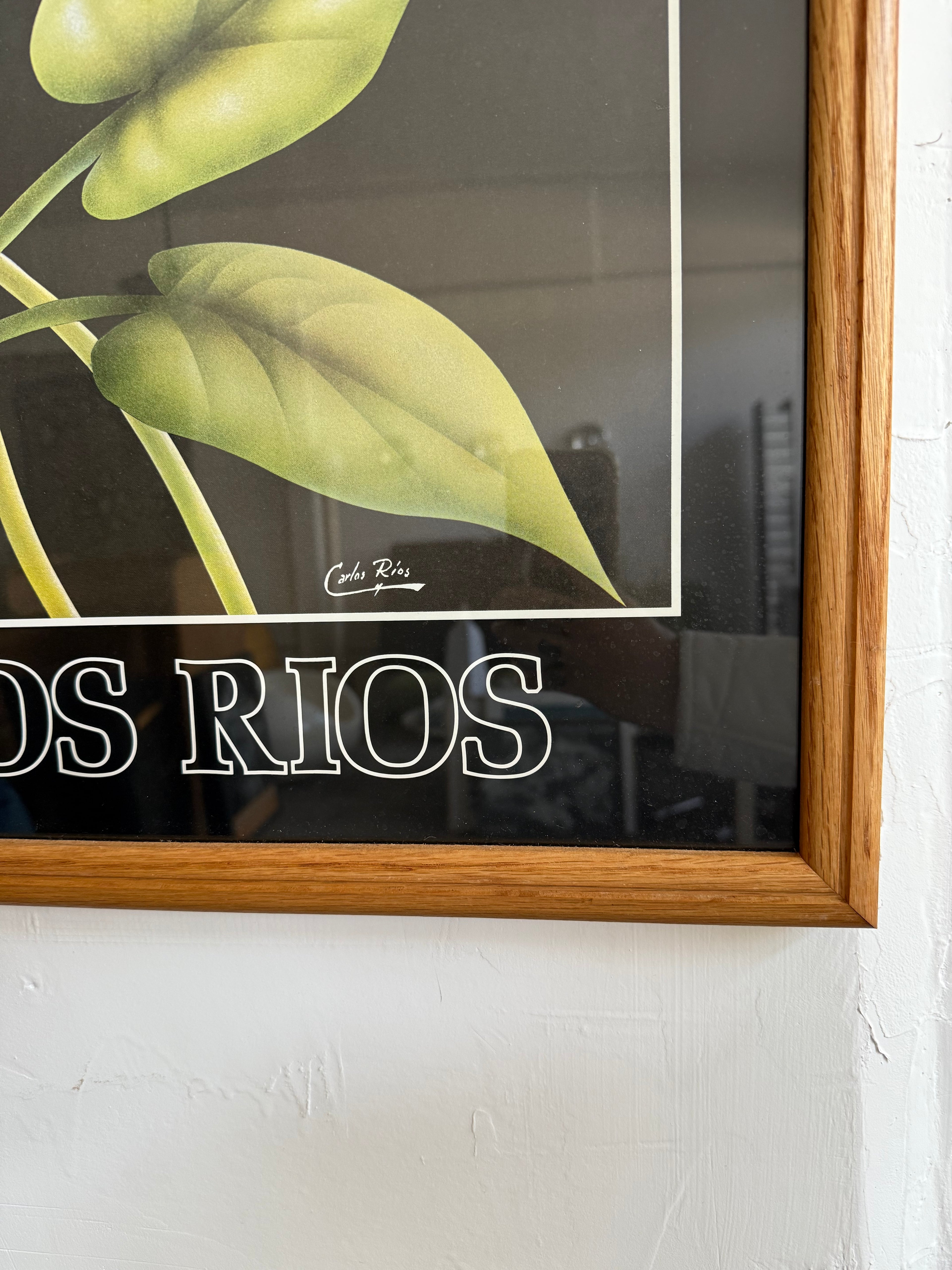 Vintage Carlos Rios Spring Exhibition Poster