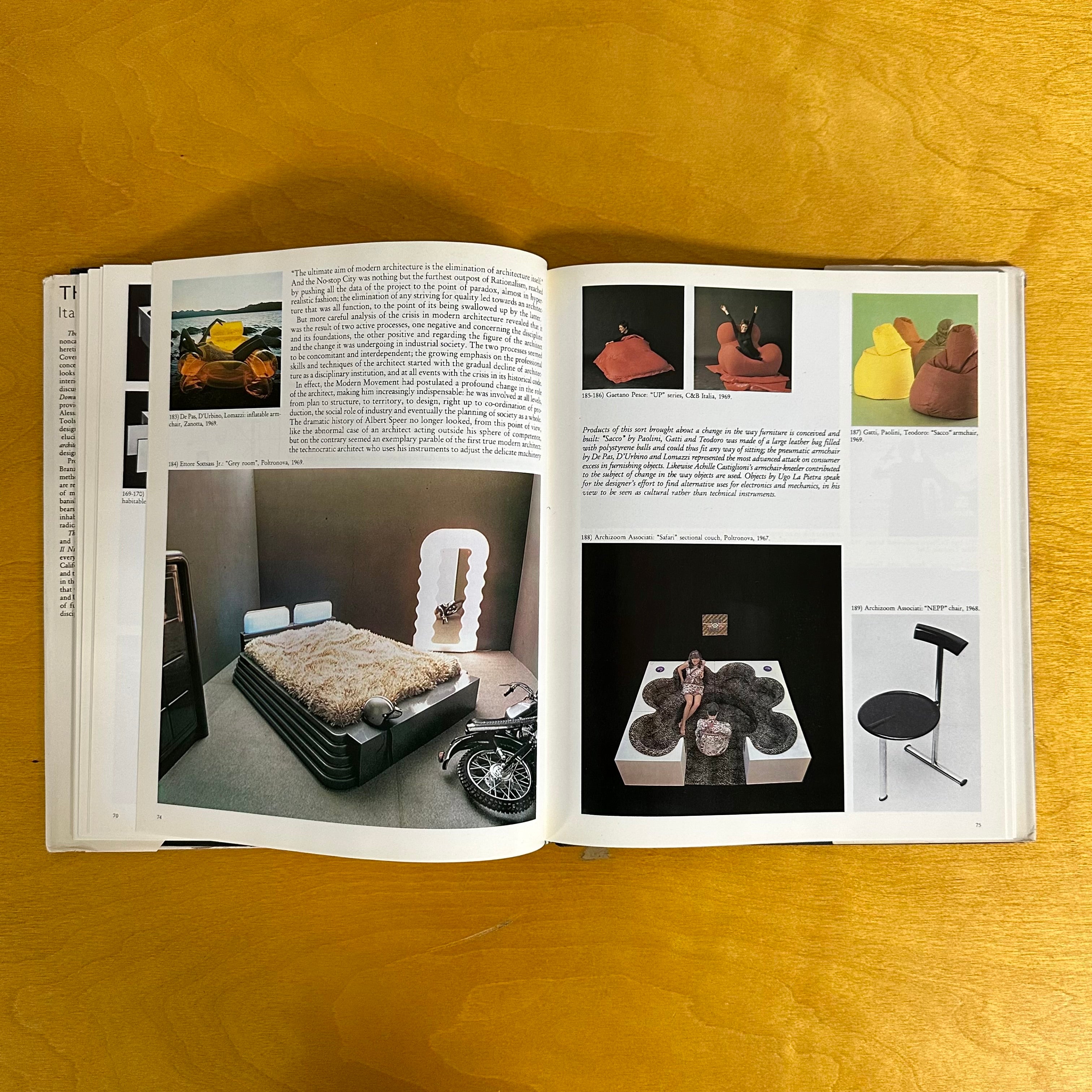 The Hot House Italian New Wave Design by Andrea Branzi, 1986